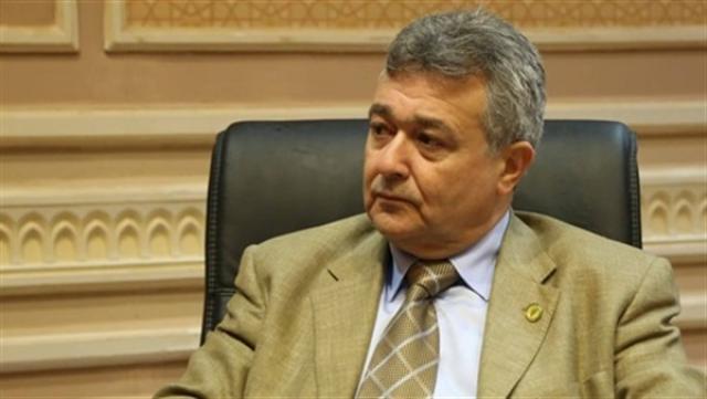 النائب عمرو صدقى