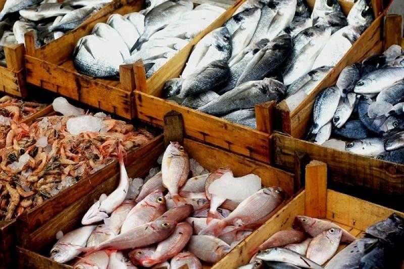 أسعار الأسماك اليوم الإثنين 6 مايو 2024