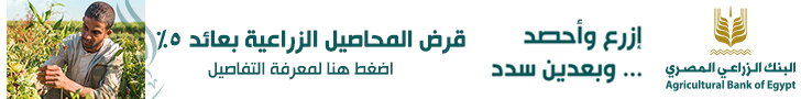 سعر الريال السعودي اليوم الثلاثاء اقتصاد خط أحمر