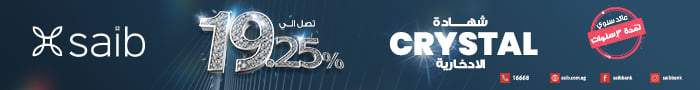 بنك سايب