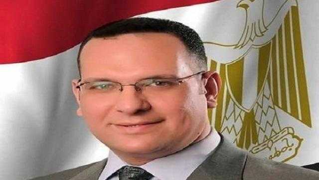 الدكتور أحمد إدريس يكتب ...التصويت علي التعديلات الدستورية يأتي بثمار النمو والاستقرار