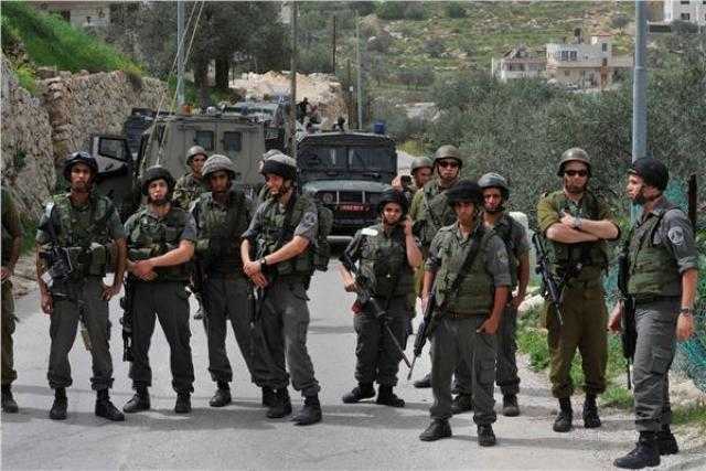 الاحتلال يحتجز فلسطينيين لزراعة أشجار الزيتون بالخليل