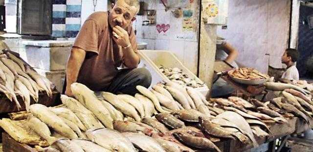 ”يا بلطي مين يشتريك”.. و سوق السمك ”محلك سر”