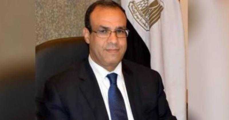 وزير الخارجية يلتقي رموز الجالية المصرية في العاصمة طوكيو