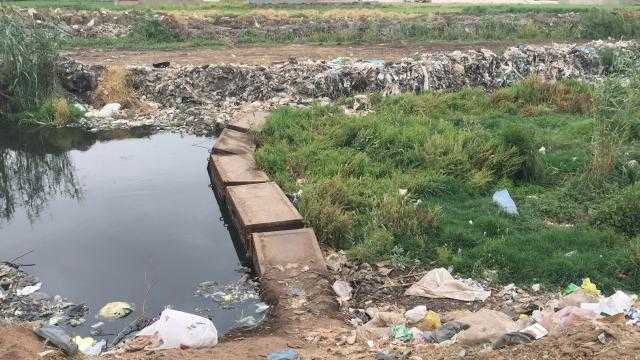 شكاوى من انسداد مصرف زفتى بسبب إلقاء القمامة والحيوانات النافقة