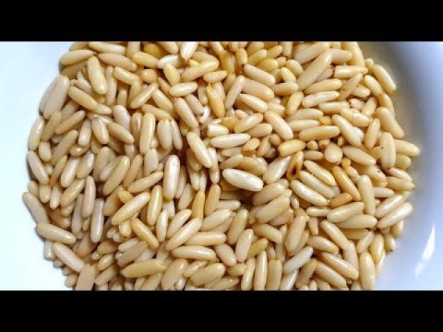الصنوبر