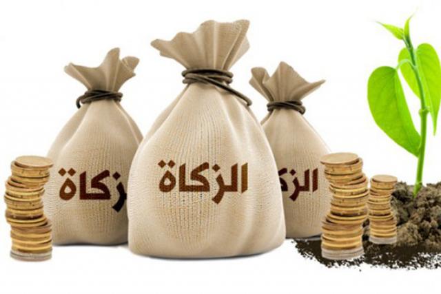  زكاة الفطر