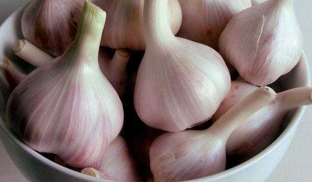 5 فوائد لتناول الثوم و العناية بشعر صحى