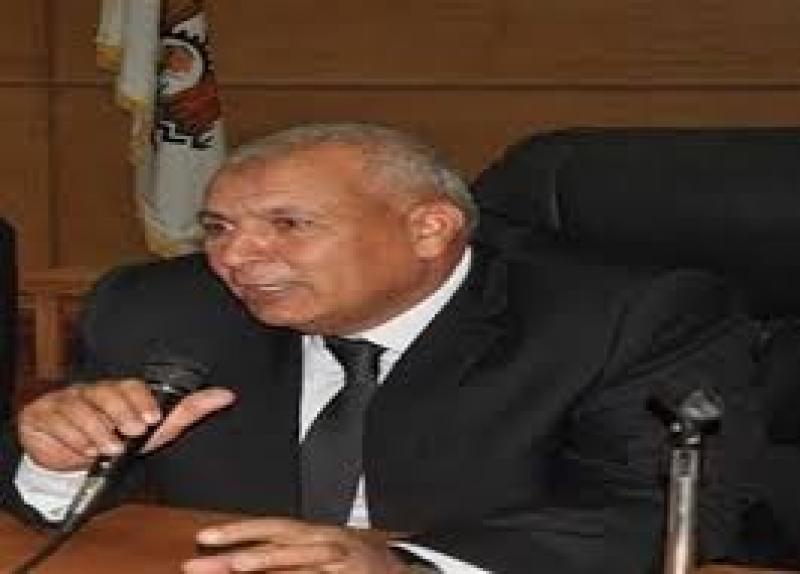 محافظ الوادى الجديد 