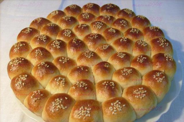 خلية النحل بالجبنة