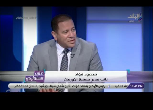 محمود فؤاد