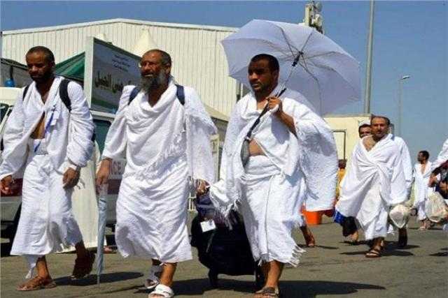 لطفى : توافر الخدمات الطبية داخل الفنادق التي يقيم بها الحجاج المصريين