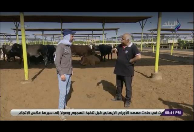 من برنامج نظرة