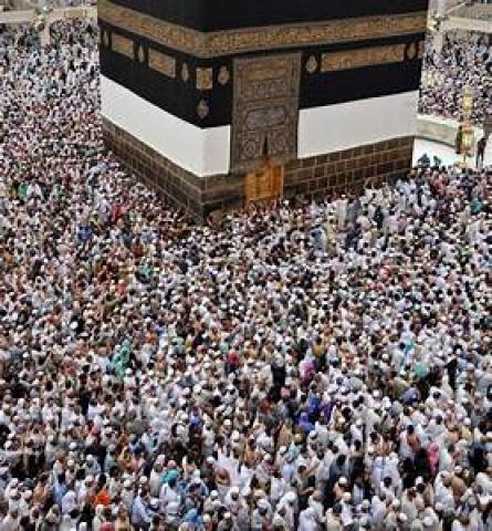 الحجاج