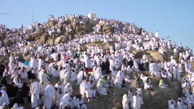 الحجاج