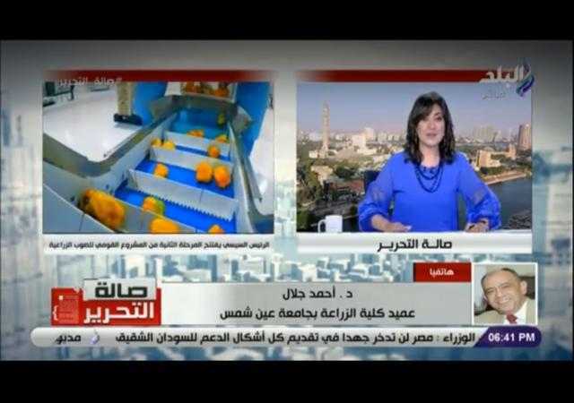 خبير يكشف خطة الدولة لإقامة صوب زراعية بالصعيد (فيديو)