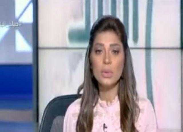 بالفيديو.. لميس سلامة: القمة السابعة الصناعية مهمة جدًا لمصر