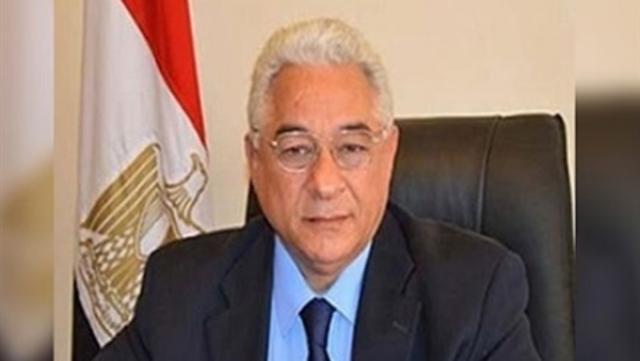 السفير علي حفني