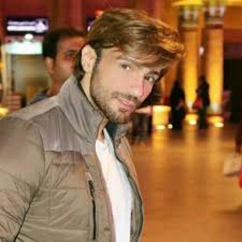 شادي شامل