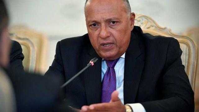 بالفيديو .. شكري: اتفاق دول القارة الأفريقية على منع التدخلات الأجنبية في ليبيا