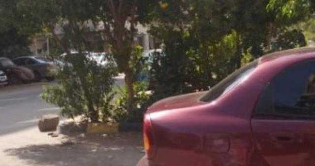 أهالى النزهة يطالبون بإنارة حديقة محمود هريدى لمنع البلطجية