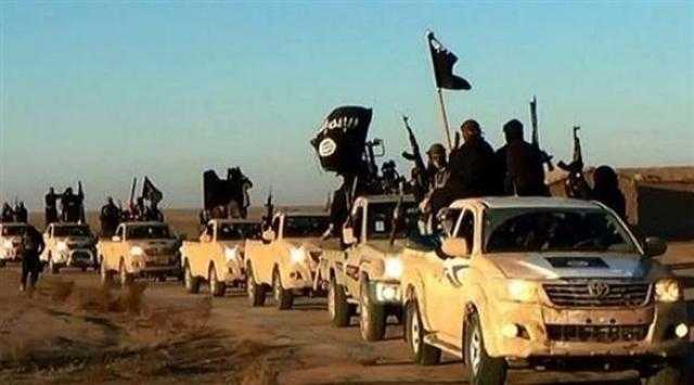 محمد الباز: أبو إسحق الحويني كان يصدر عناصر شبابية لداعش 