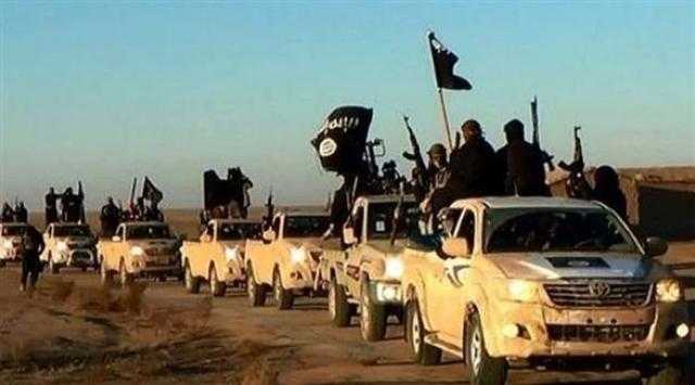 العراق : مقتل 5 عناصر من داعش فى الأنبار