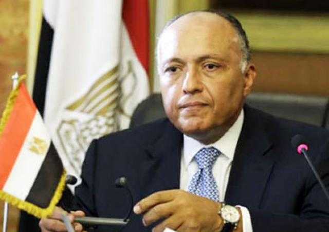 الخارجية تعلن تفاصيل جديدة حول التفاوض مع إثيوبيا بشأن سد النهضة (فيديو)