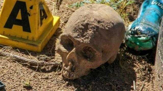 العثور على 40 جمجمة وعشرات العظام في المكسيك