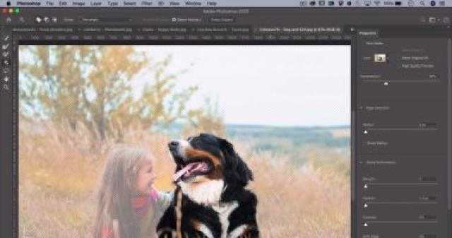 Photoshop يطلق أداة جديدة تعتمد على الذكاء الإصطناعى لسرعة ” التحديد ”