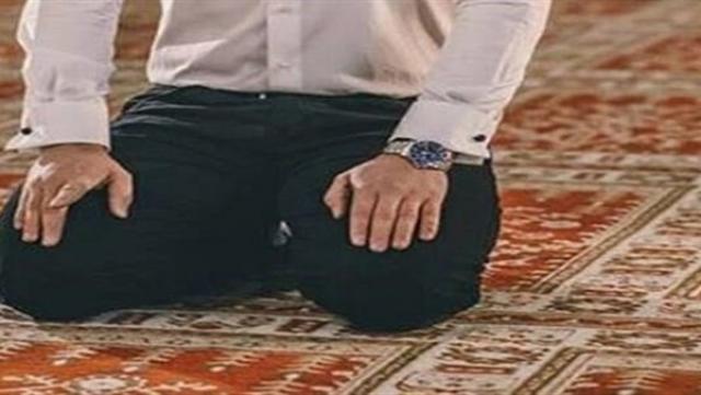 ارشيفية