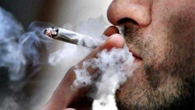 النيابة الإدارية توضح عقوبة تعاطي الموظف للمخدرات..فيديو