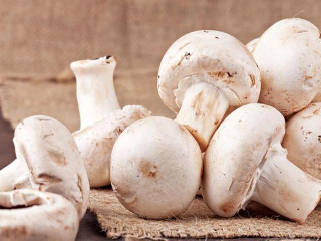 فطر عش الغراب