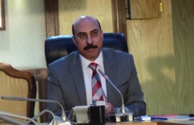 محافظ أسوان