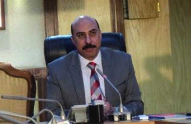 محافظ أسوان والرئيس التنفيذي لهيئة الاستثمار يستعرضان أهم الفرص الاستثمارية بالمحافظة