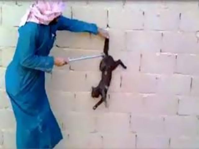 قتل الحيوانات