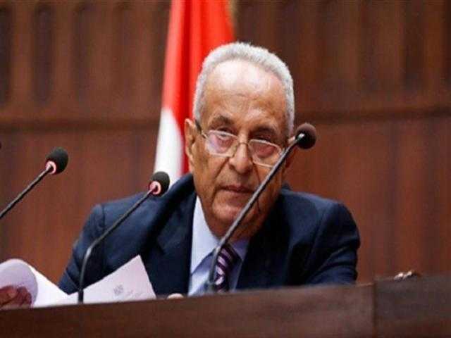 وكيل الشيوخ: رسائل الرئيس خارطة طريق للدولة ترسم معالم الجمهورية الجديدة