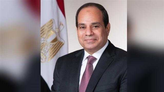 عضو المجلس الاستشارى للرئيس يتحدث عن لقاءه الأول مع السيسي (فيديو)