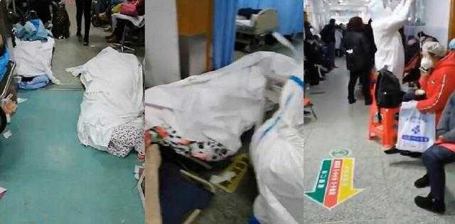 بالفيديو .. الديهي : الصين وجهت بحرق جثث ضحايا فيروس كورونا
