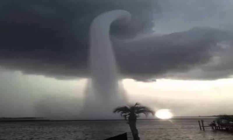 ارشيفية
