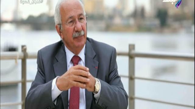 المؤرخ على الحفناوي