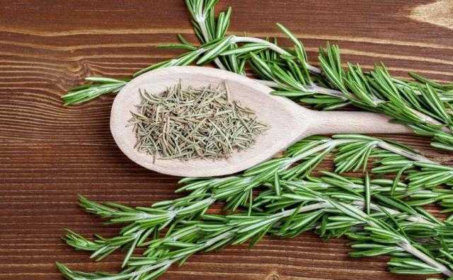 كل ما تريد معرفته عن الروزمارى وعلاقته بالسرطان