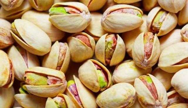 أبرزها إنقاص الوزن ..فوائد مذهلة لـ «الفستق الحلبي» ..تعرف عليها