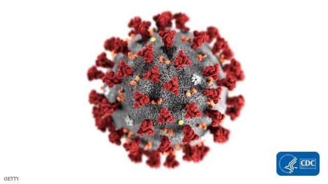 فيرس كورونا -ارشيفية