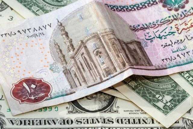 المركزي يفرض المزيد من القيود على تعاملات شركات الصرافة