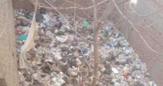 أهالي الجيزة يشكون تراكم القمامة في حارة المحلاوي