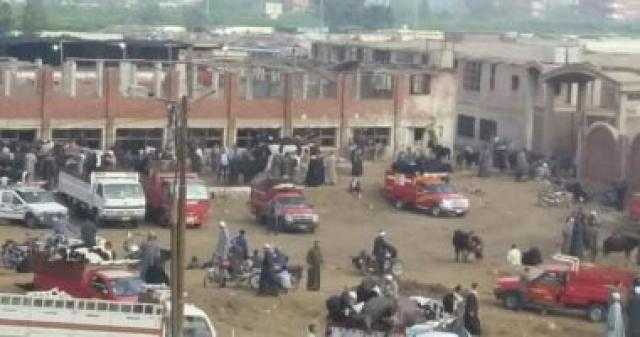 سكان بنها يشكون ازدحام سوق المواشي