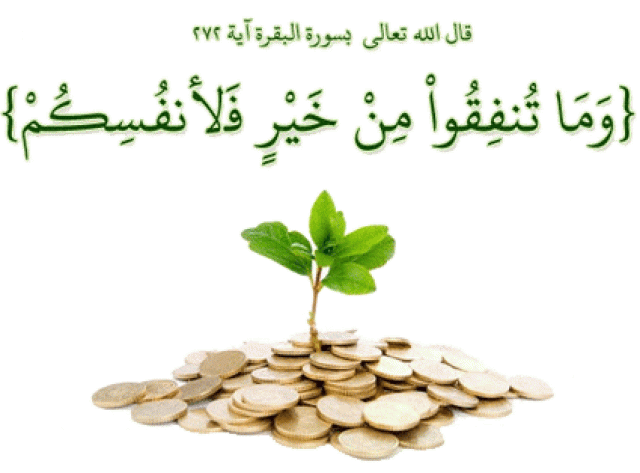 أرشيفية
