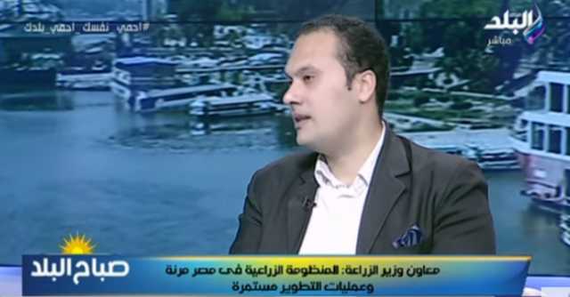 الزراعة: 200 ألف فدان زيادة في مساحة زراعة القمح للموسم الحالي .. فيديو 