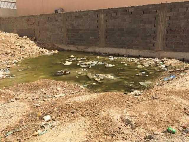 قارئ يشكو من انتشار مياه الصرف الصحي بالشرابية